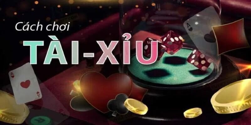 Những quy tắc hiện hành trong cách chơi tài xỉu nên nhớ